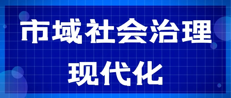 持續提升市域社會治理效能 持續提升市域社會治理效能