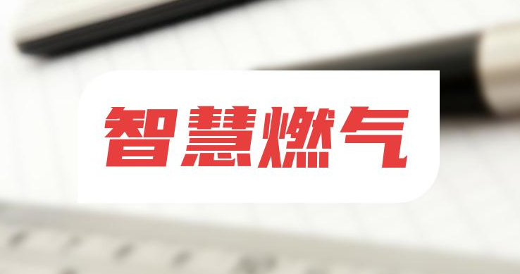 解碼智慧燃氣:從技術(shù)賦能到場景革新的多維圖景 解碼智慧燃氣:從技術(shù)賦能到場景革新的多維圖景